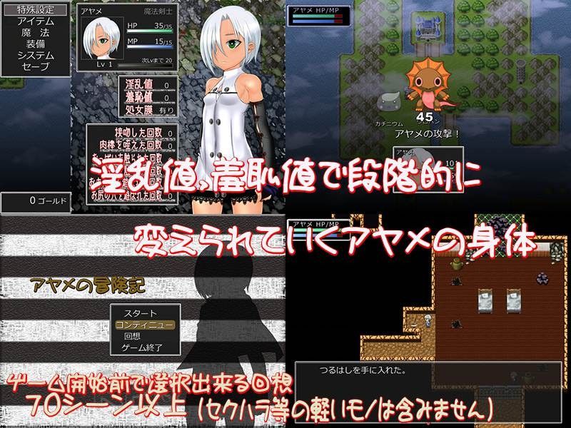 アヤメの冒険記 〜師匠の本を求めて〜 サンプル画像2
